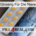Ginseng Für Die Niere 44